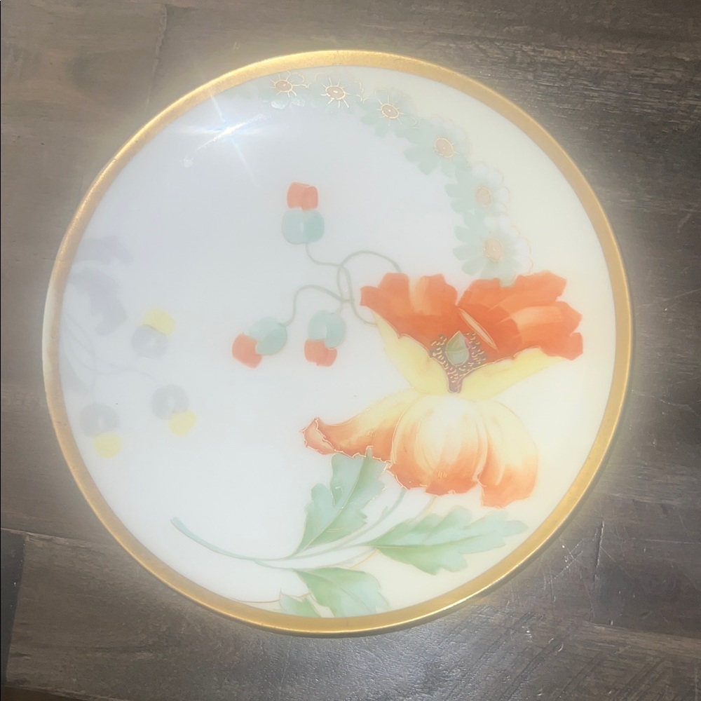 Imperial Austria hand painted China dish